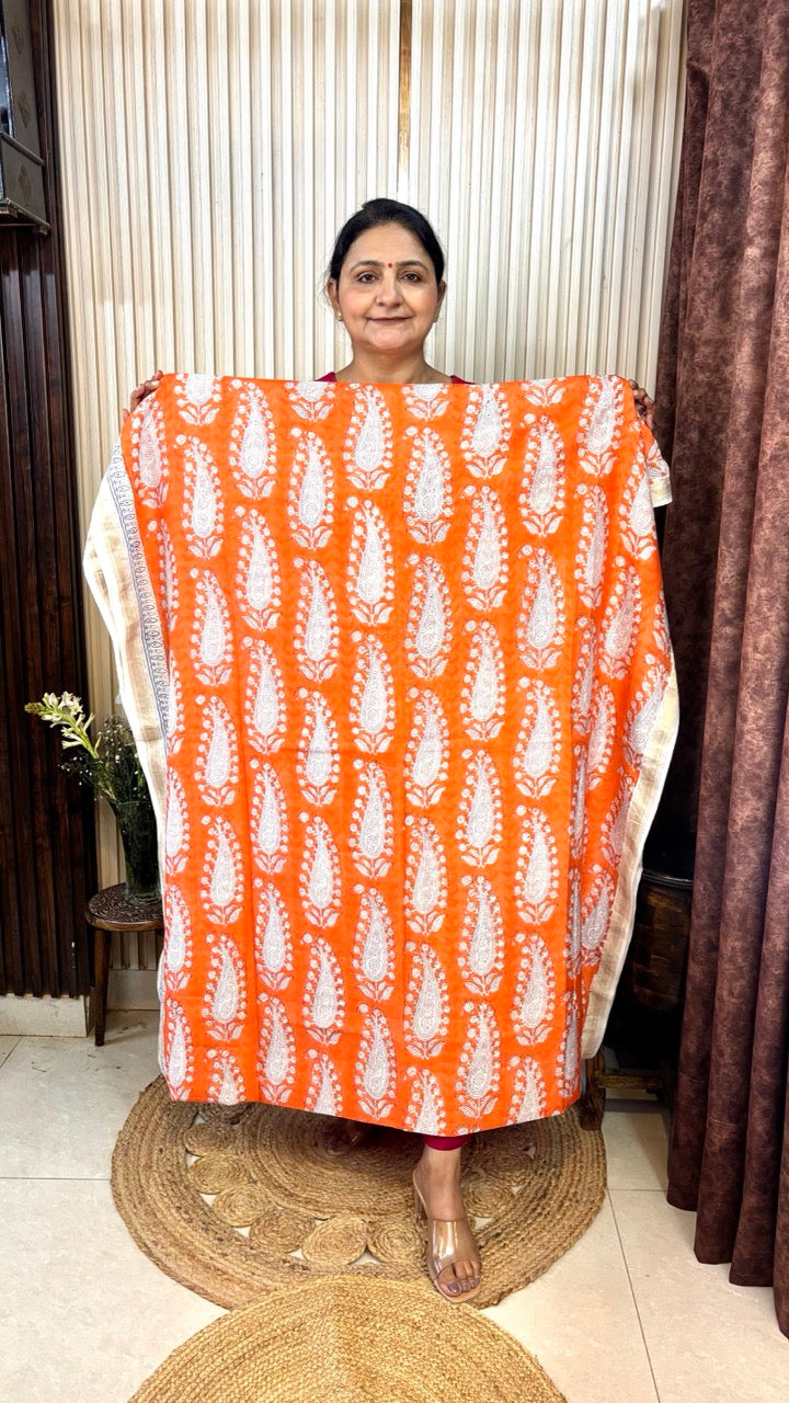 Maheshwari Silk Bagh Hand Block Printed Kurta Set With Tissue Zari Pallu Dupatta - Set of 3