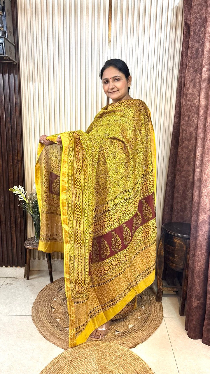 Maheshwari Silk Bagh Hand Block Printed Kurta Set With Tissue Zari Pallu Dupatta - Set of 3