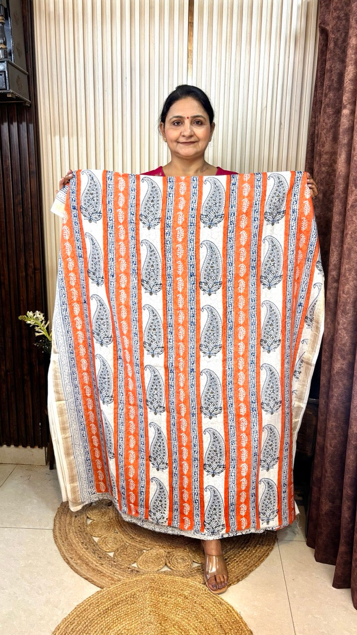 Maheshwari Silk Bagh Hand Block Printed Kurta Set With Tissue Zari Pallu Dupatta - Set of 3